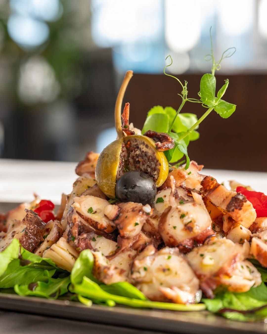 Salata od hobotnice s limunom, kaparima i maslinom na rukoli