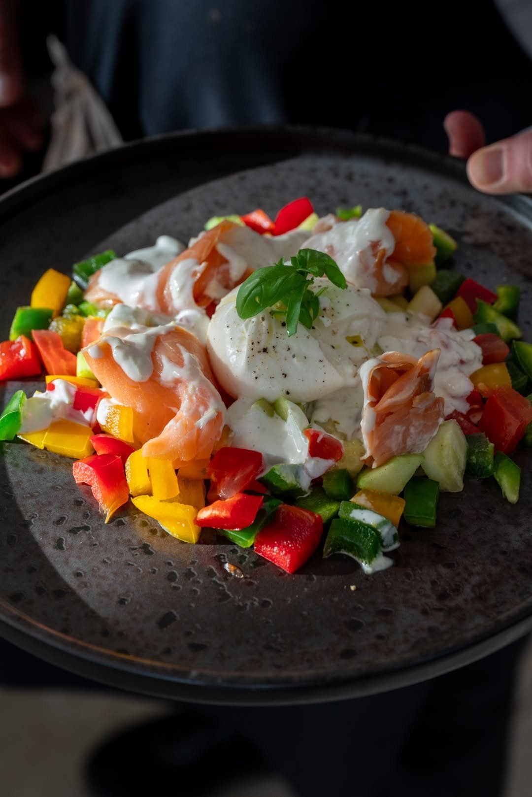 Burrata s dimljenim lososom i šarenim povrćem na tamnoj keramici